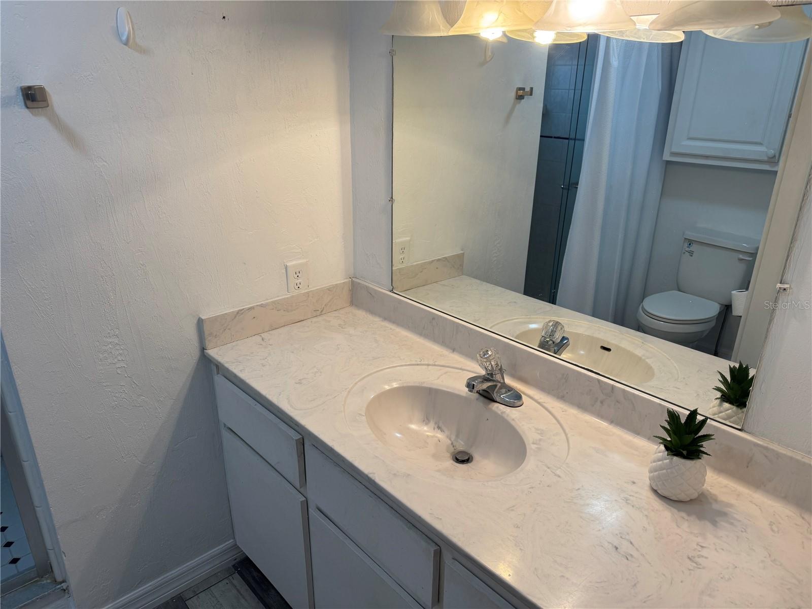 Image 12 of 22 For 5480 Pineland Avenue