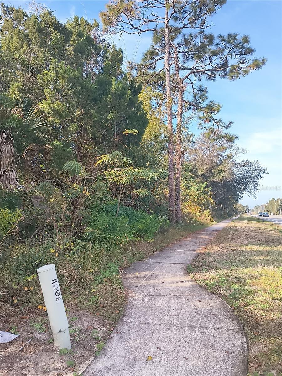 Image 6 of 7 For Doyle Road