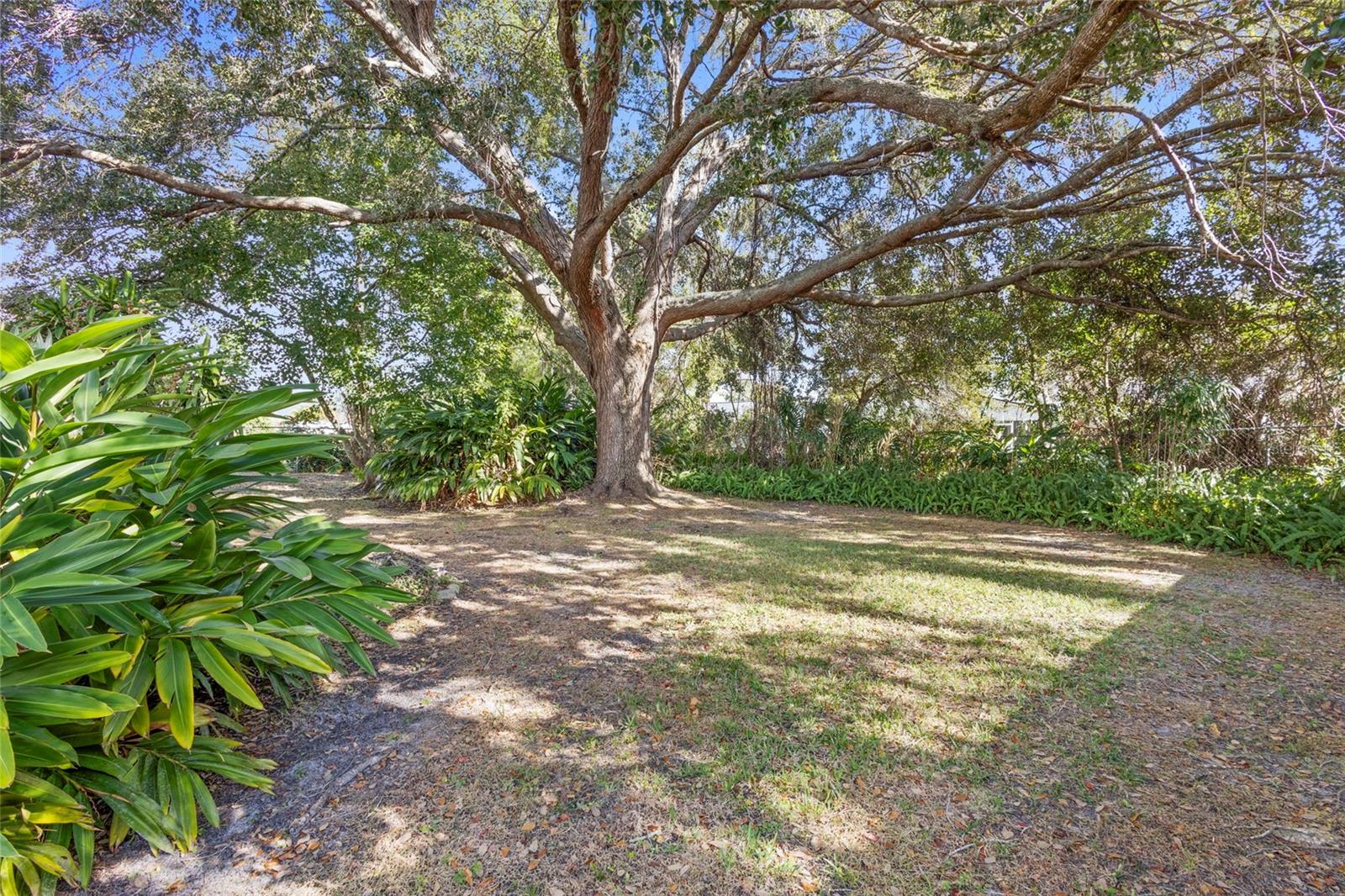 Image 25 of 31 For 991 Centennial Avenue