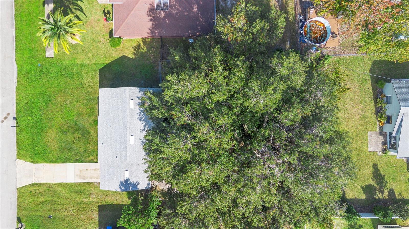 Image 26 of 31 For 991 Centennial Avenue