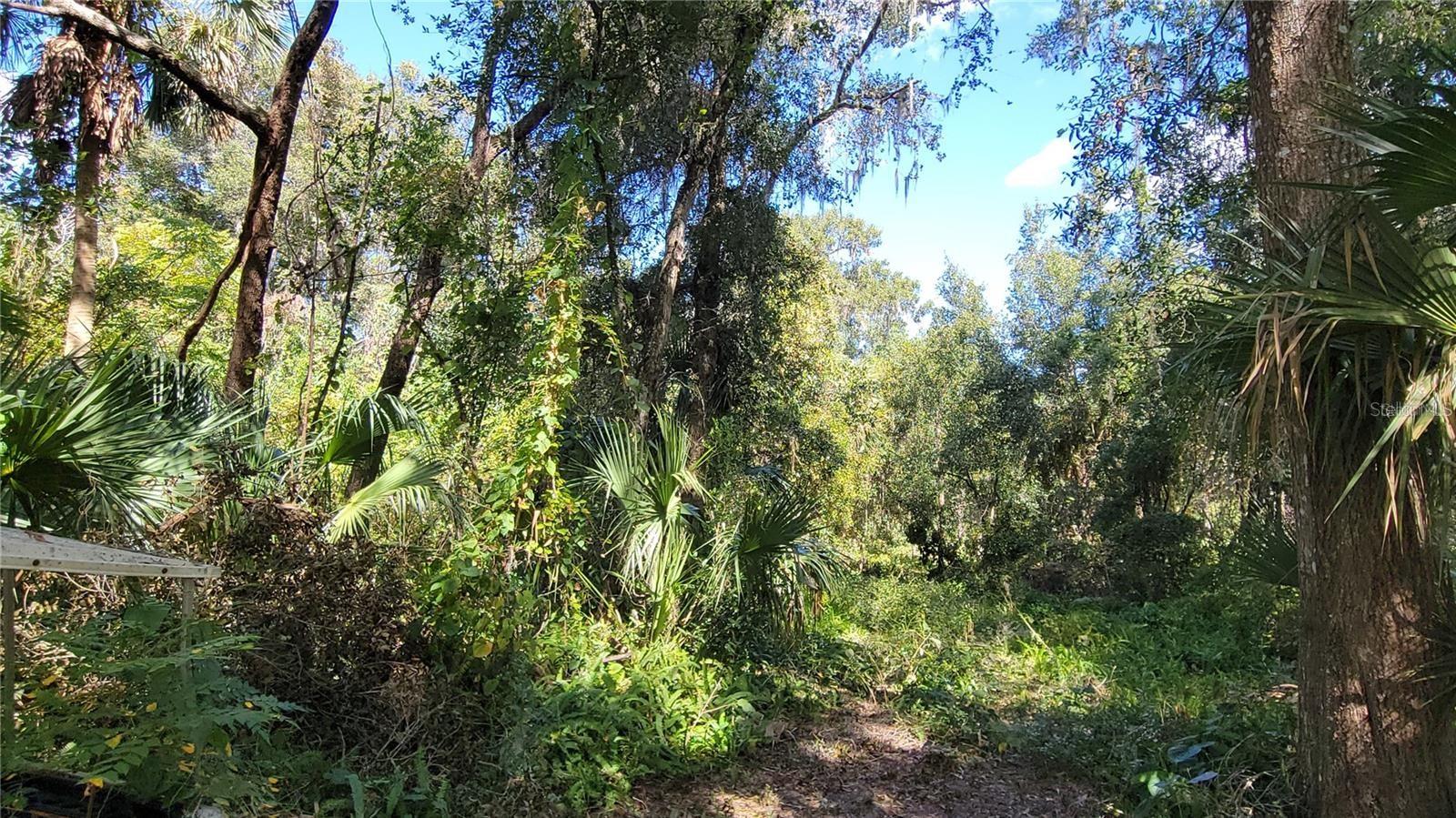 Image 5 of 7 For  Lakeview St  