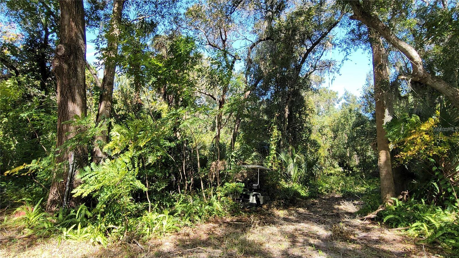 Image 6 of 7 For  Lakeview St  