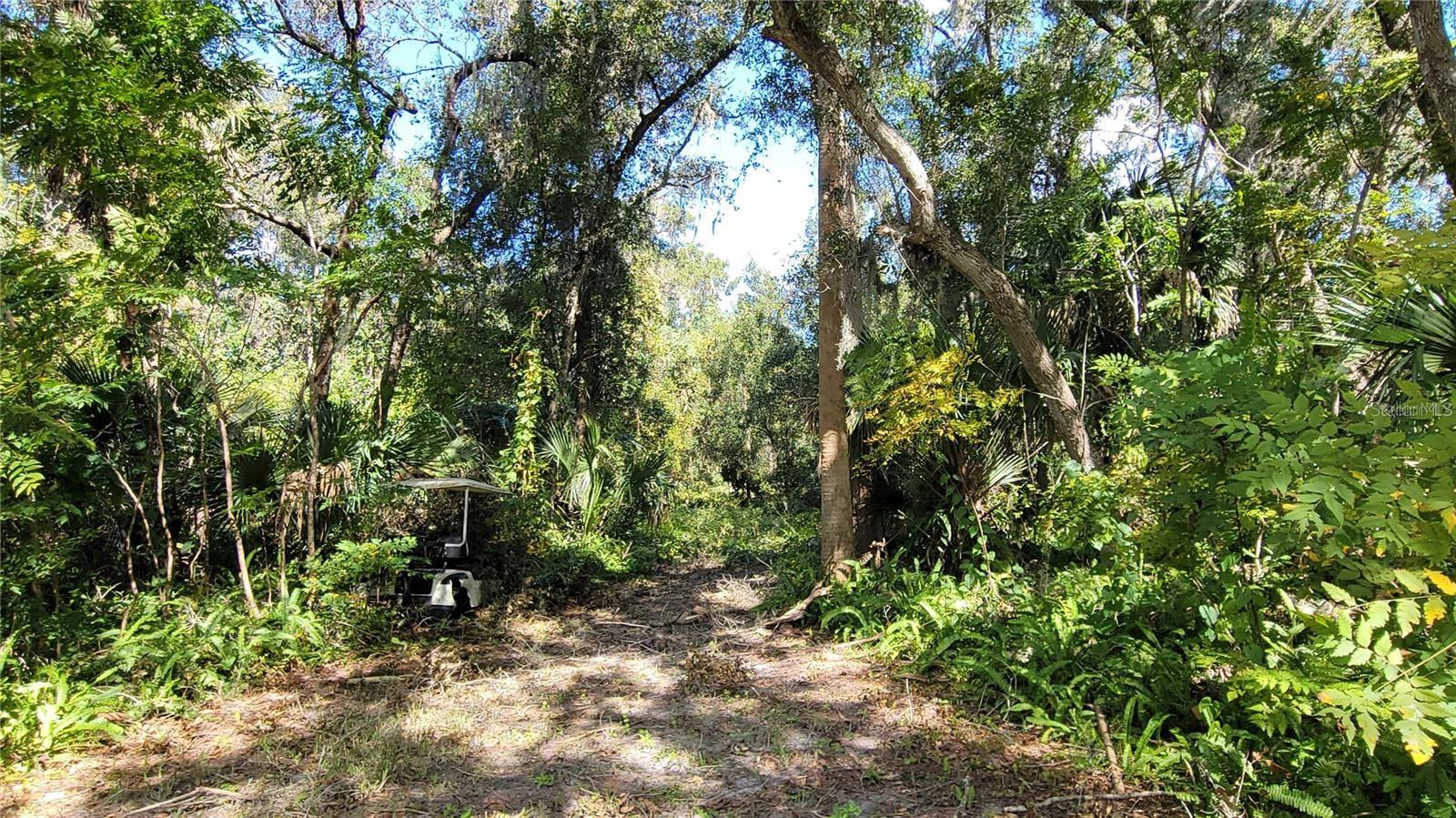 Image 7 of 7 For  Lakeview St  