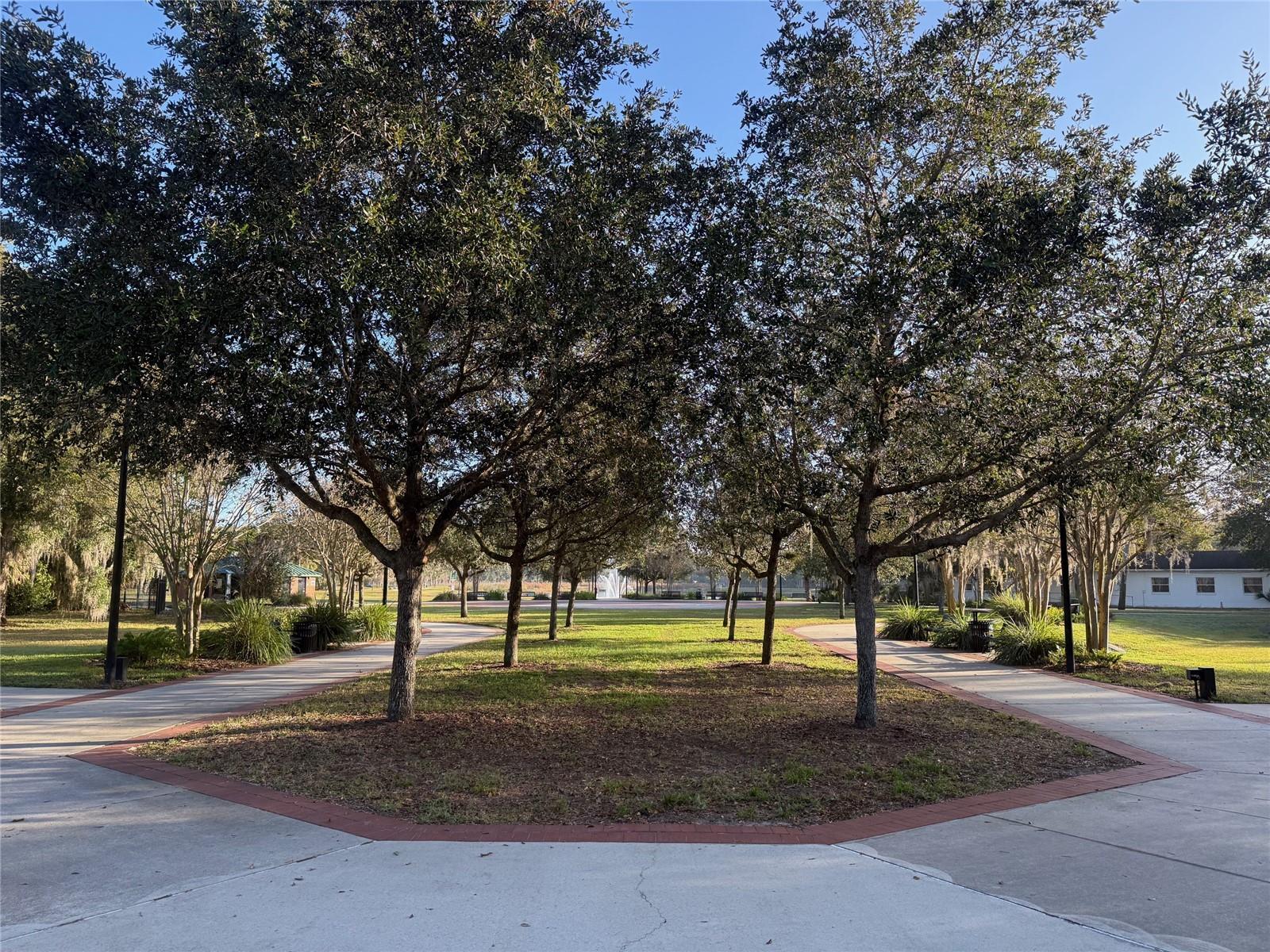 Image 11 of 19 For 300 Oak Avenue