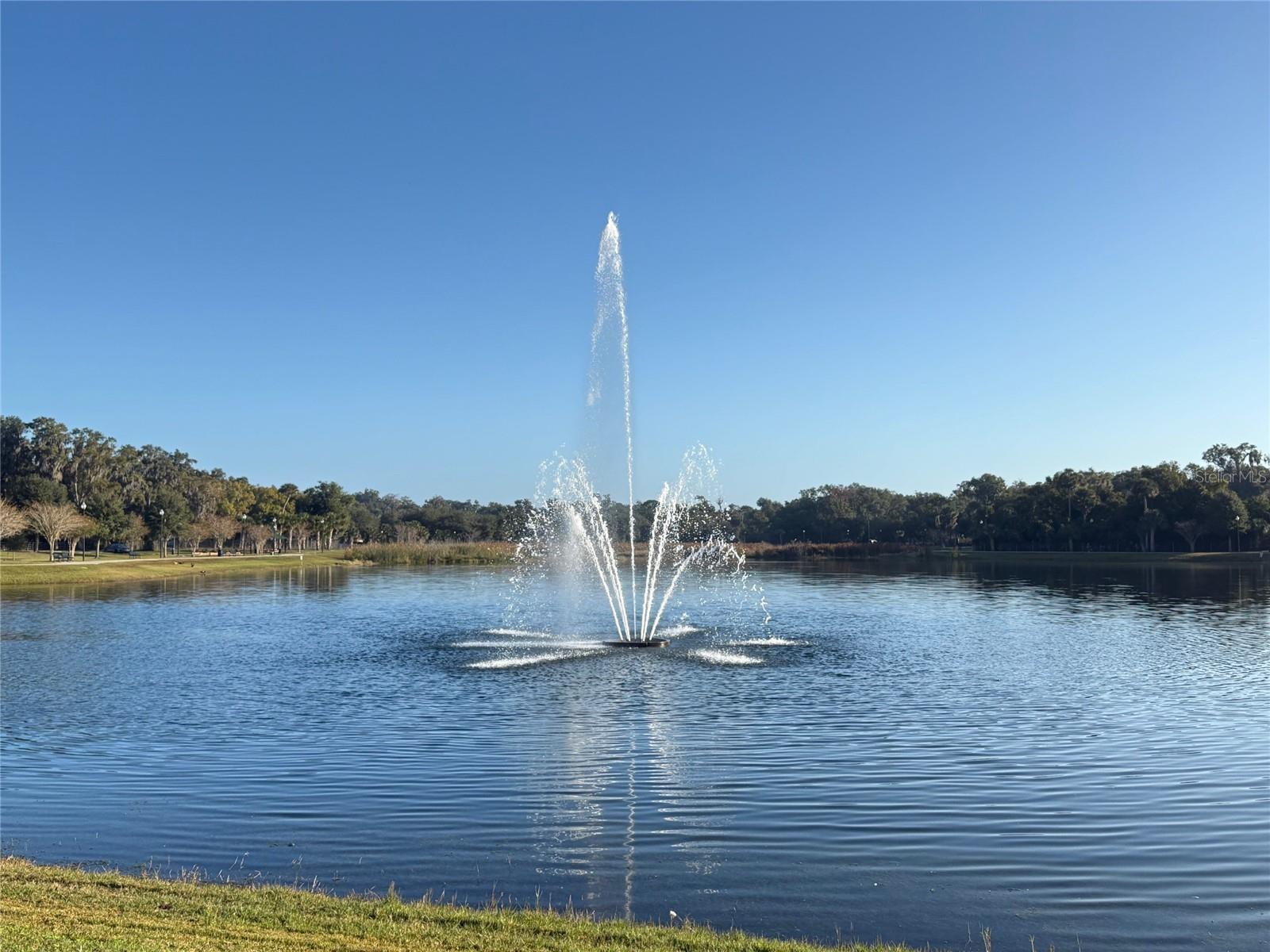 Image 12 of 19 For 300 Oak Avenue