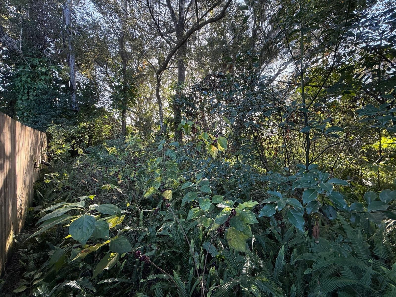 Image 13 of 19 For 300 Oak Avenue