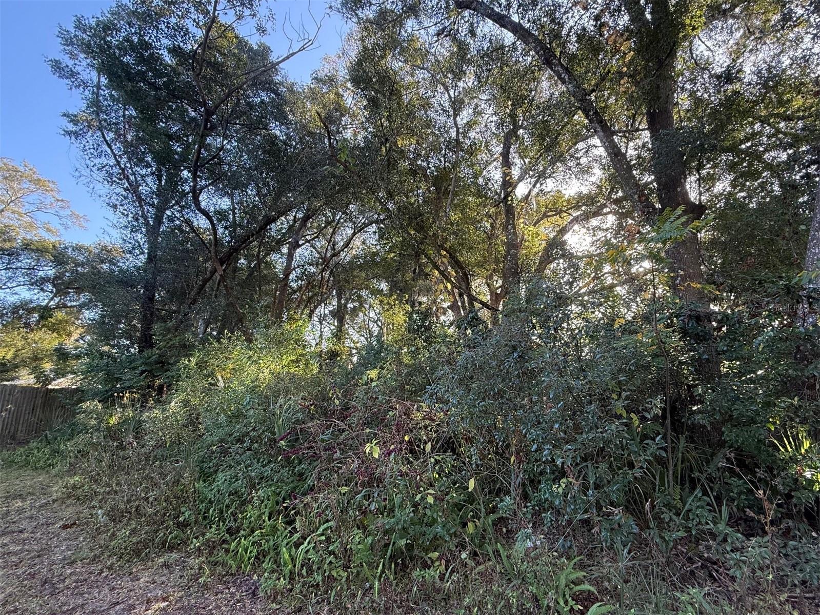 Image 15 of 19 For 300 Oak Avenue