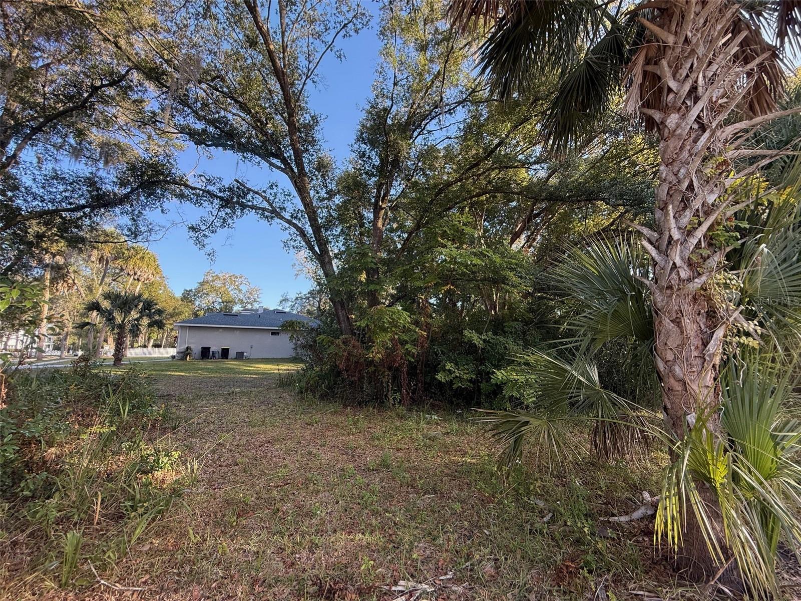 Image 16 of 19 For 300 Oak Avenue