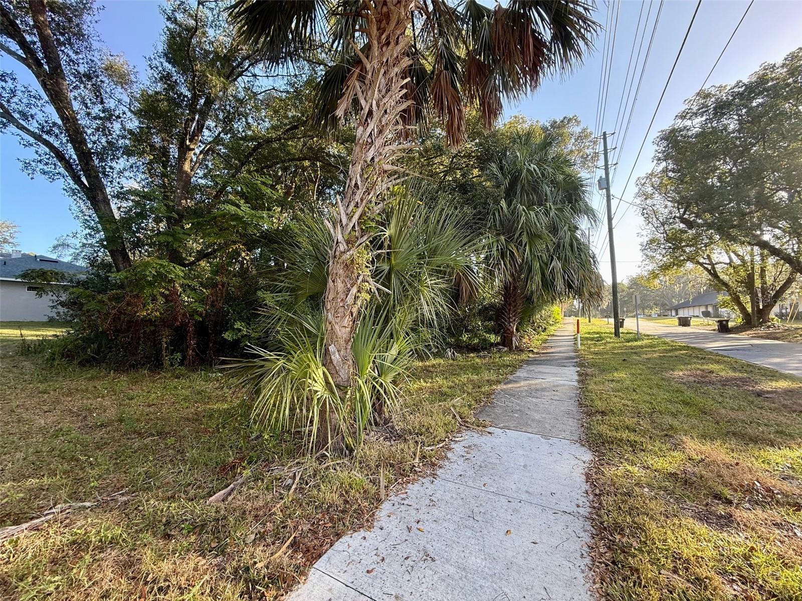 Image 17 of 19 For 300 Oak Avenue