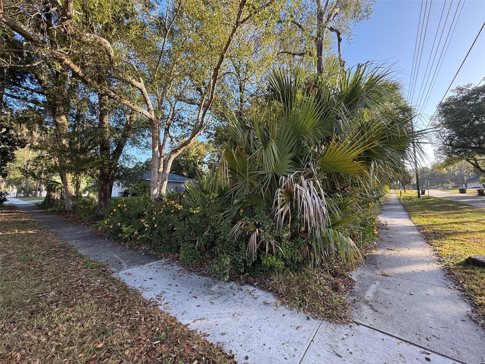 Image 19 of 19 For 300 Oak Avenue