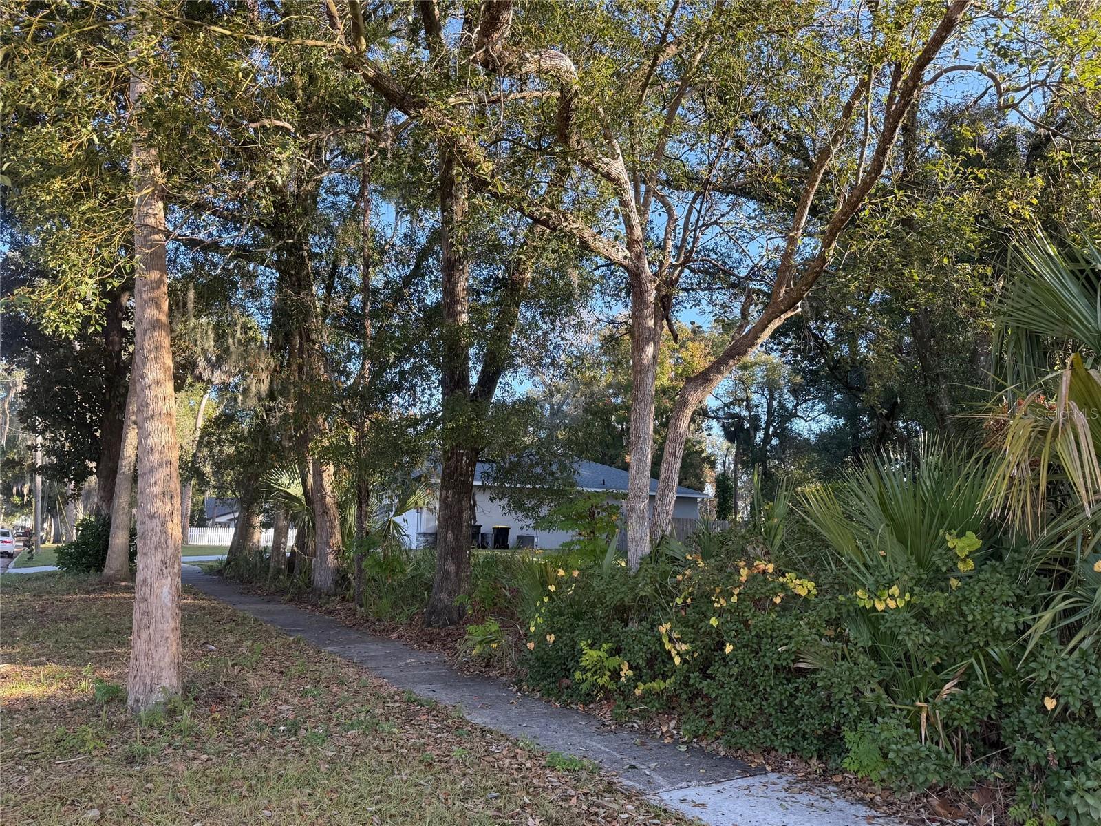 Image 4 of 19 For 300 Oak Avenue