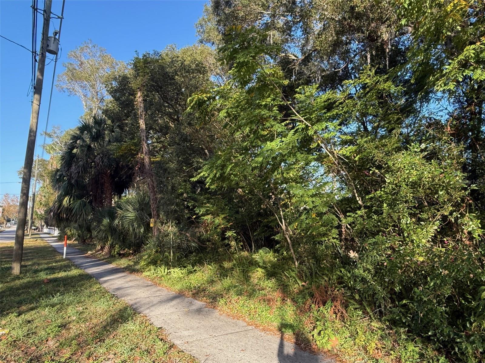 Image 6 of 19 For 300 Oak Avenue