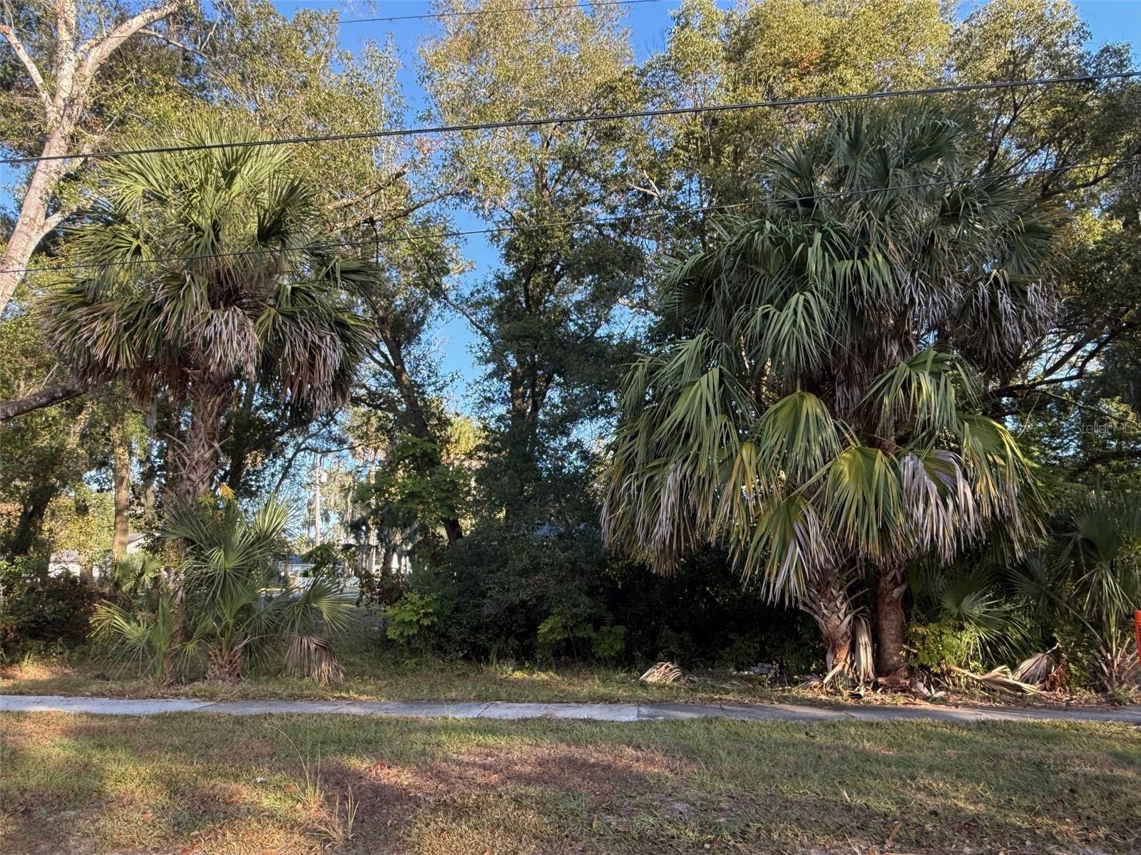 Image 7 of 19 For 300 Oak Avenue