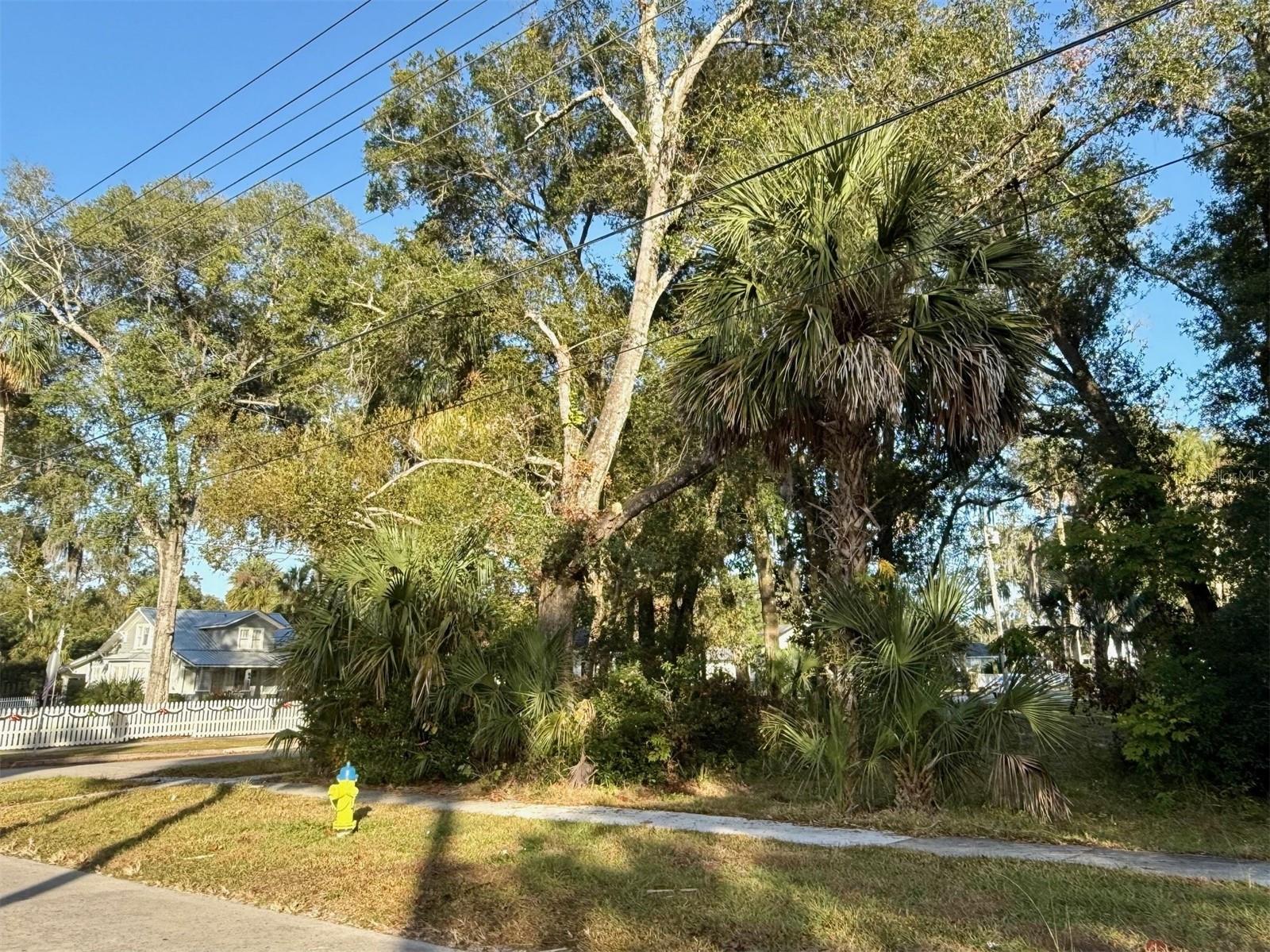 Image 8 of 19 For 300 Oak Avenue