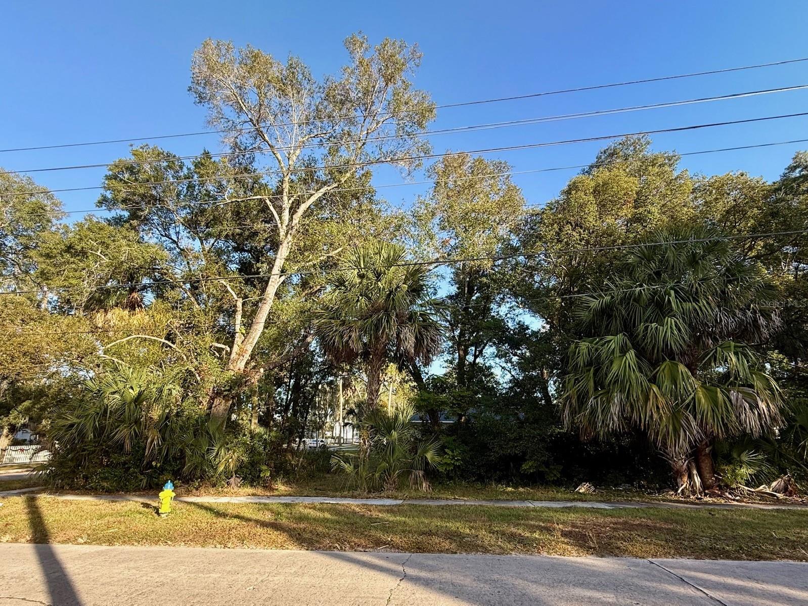 Image 9 of 19 For 300 Oak Avenue