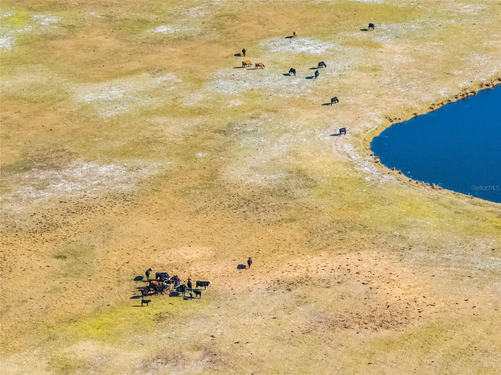 Image 4 of 23 For 2120 St Johns River Road