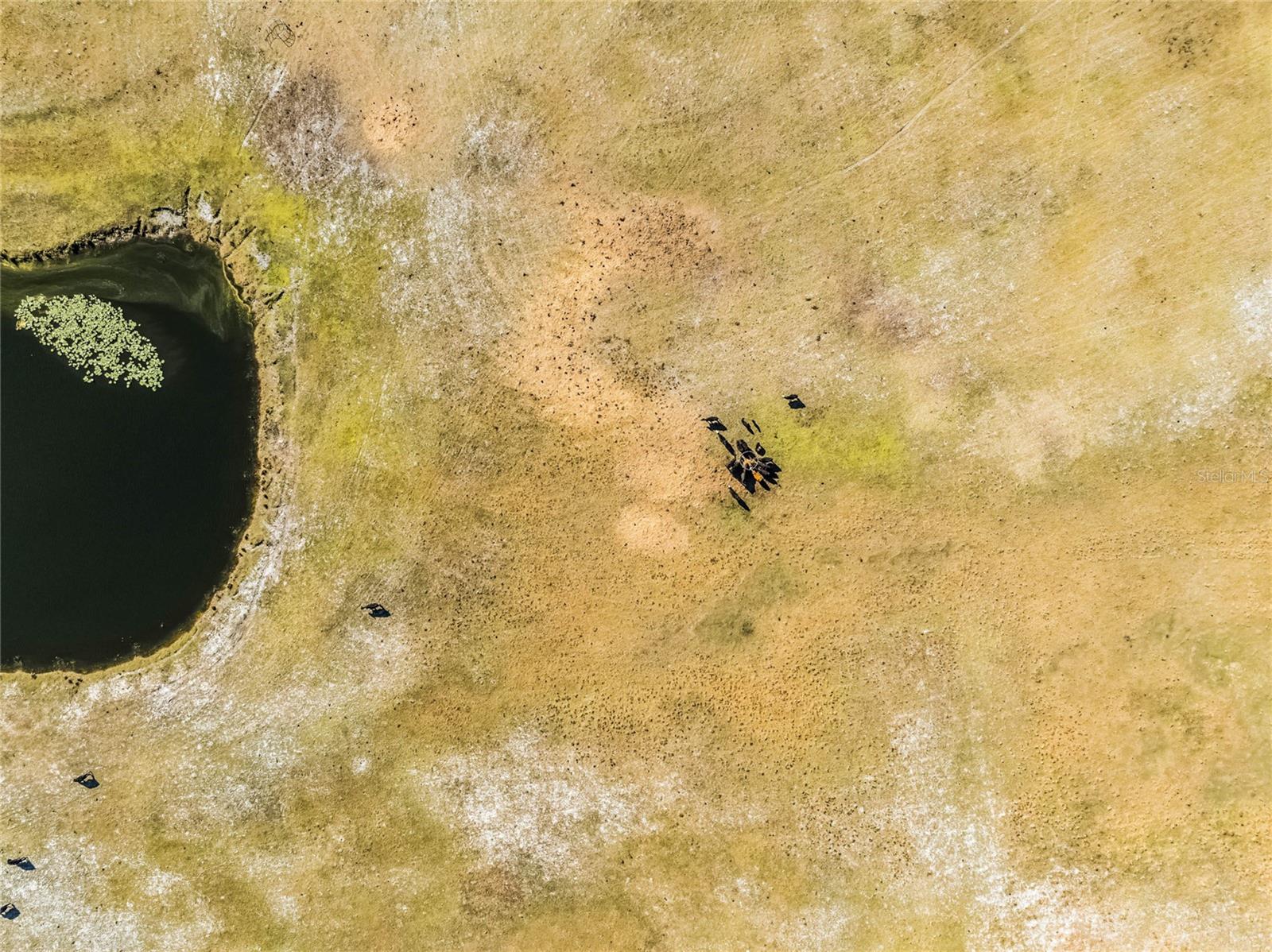 Image 5 of 23 For 2120 St Johns River Road