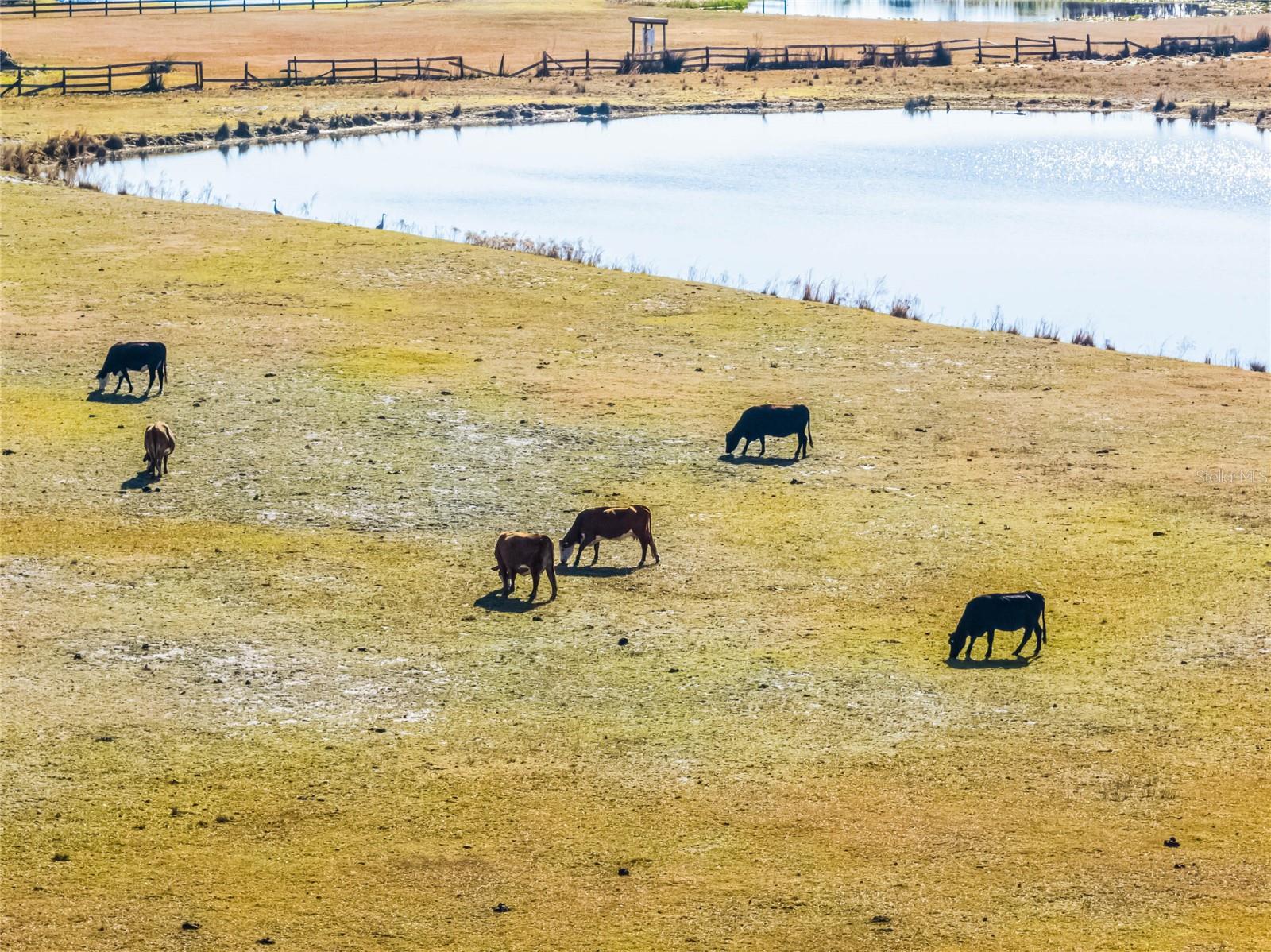 Image 7 of 23 For 2120 St Johns River Road