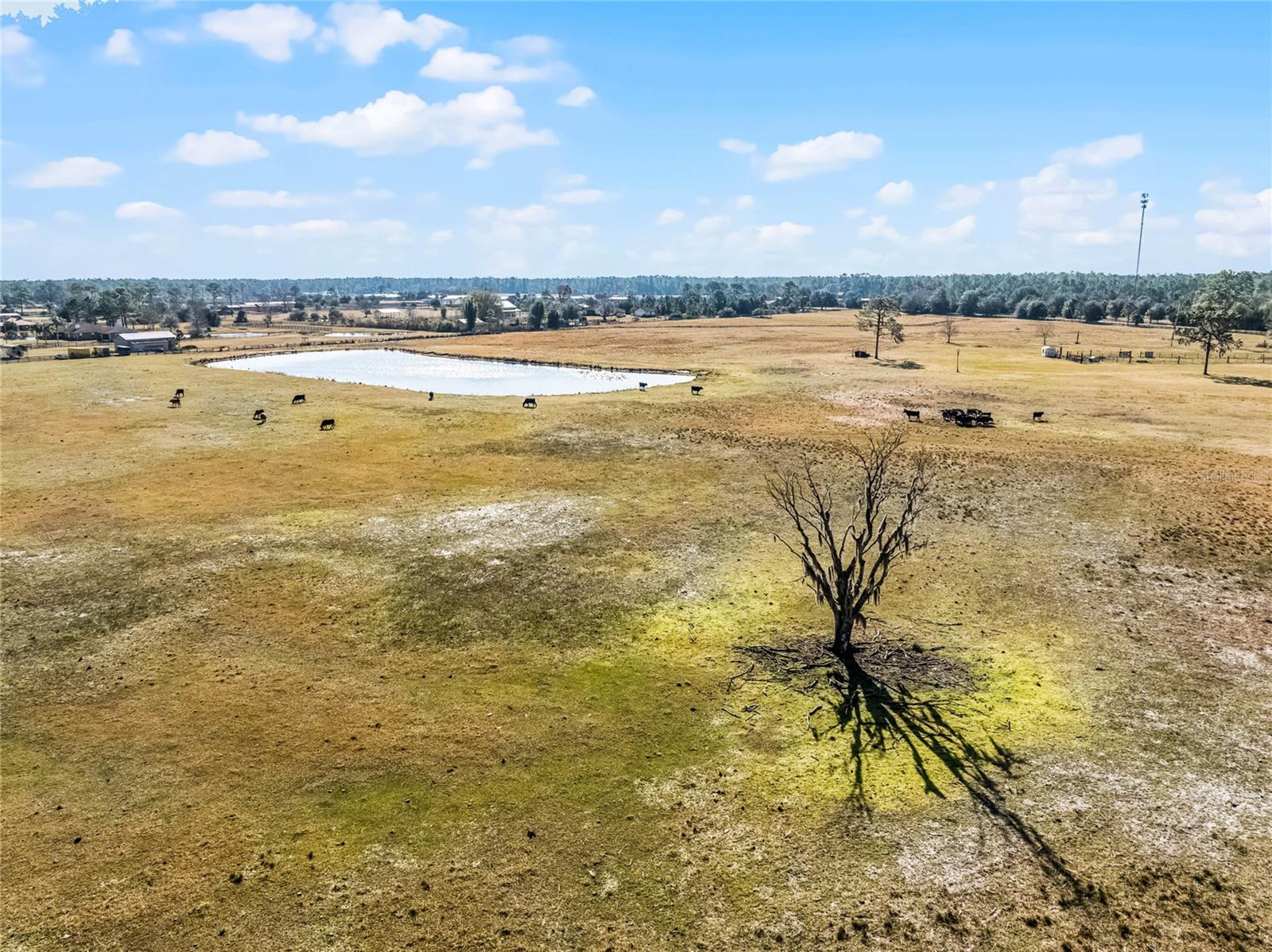 Image 8 of 23 For 2120 St Johns River Road