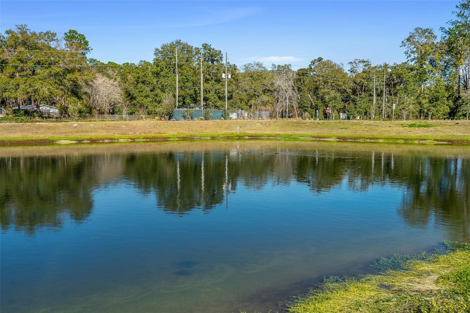 Image 39 of 45 For 565 Lady Grace Place