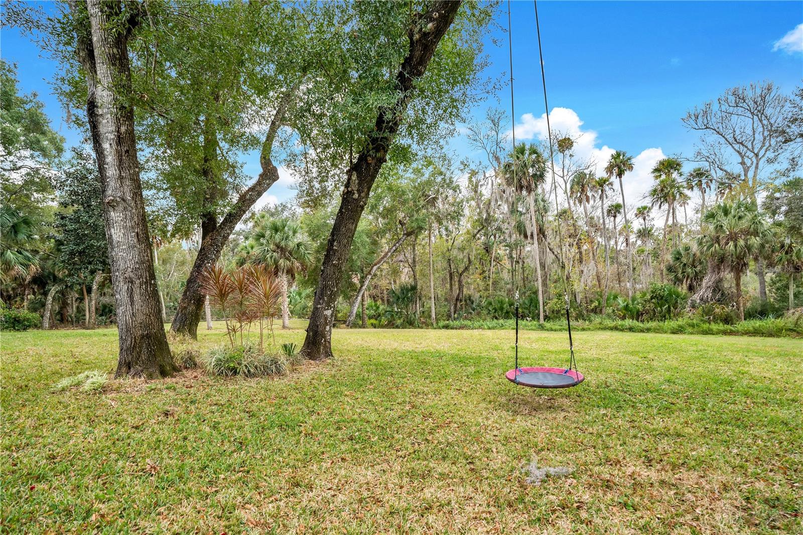 Image 48 of 61 For 8 Fernwood Trail