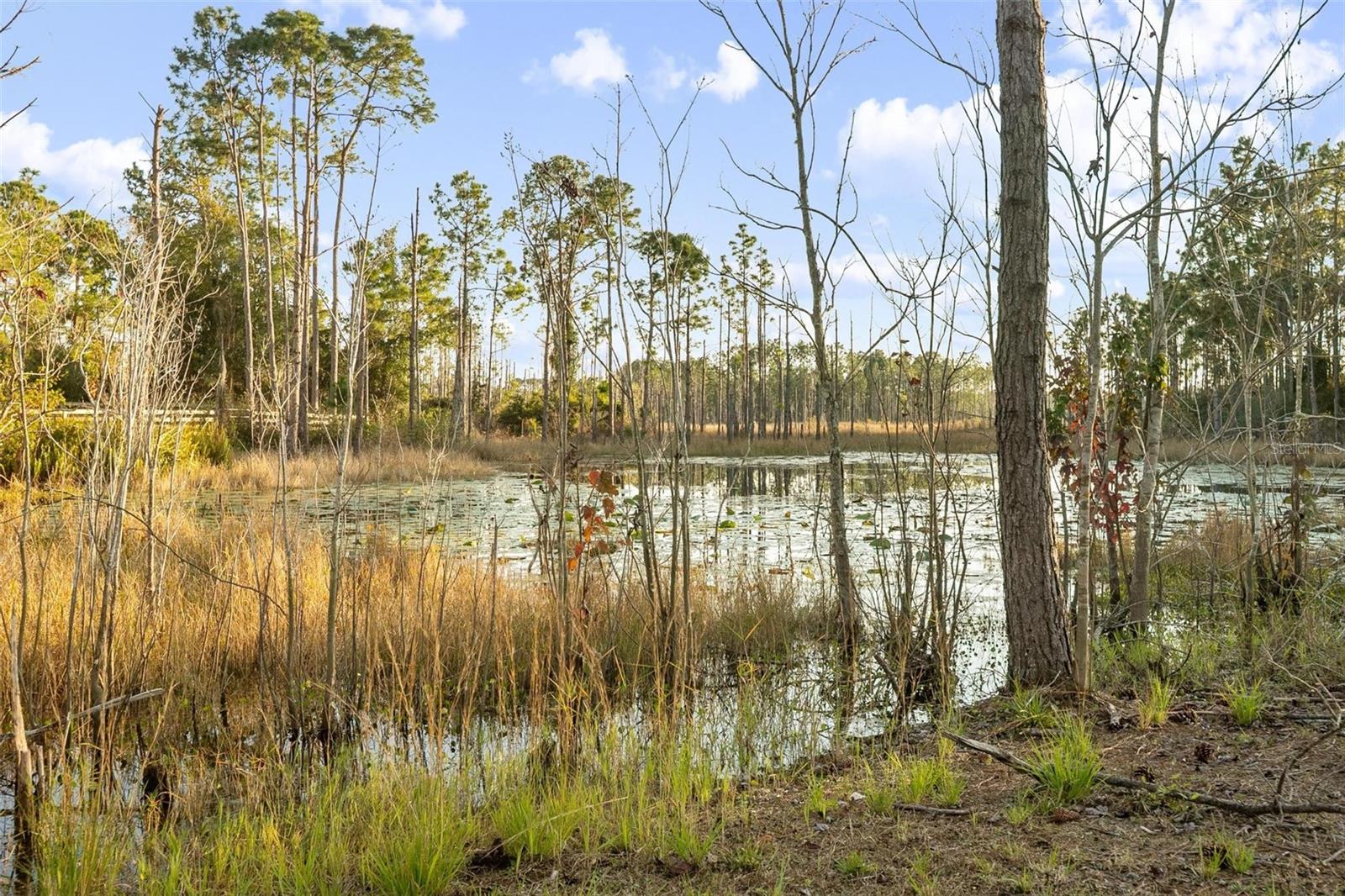 Image 28 of 31 For 2767 Kingsdale Drive