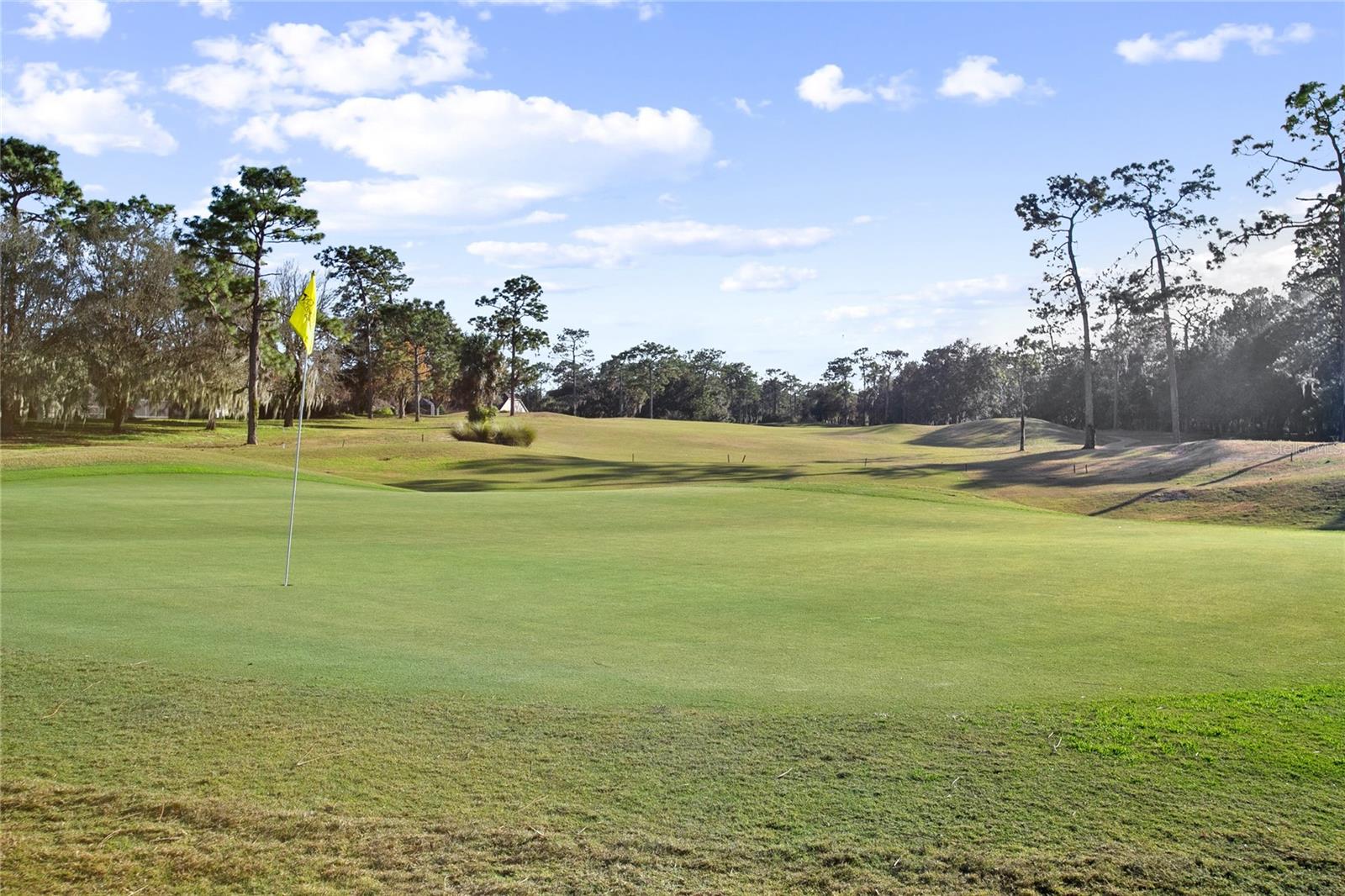 Image 38 of 49 For 110 Curry Rise Court