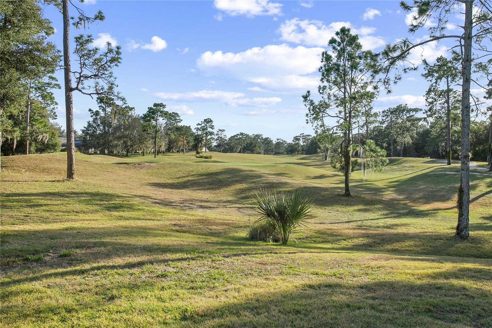 Image 41 of 49 For 110 Curry Rise Court