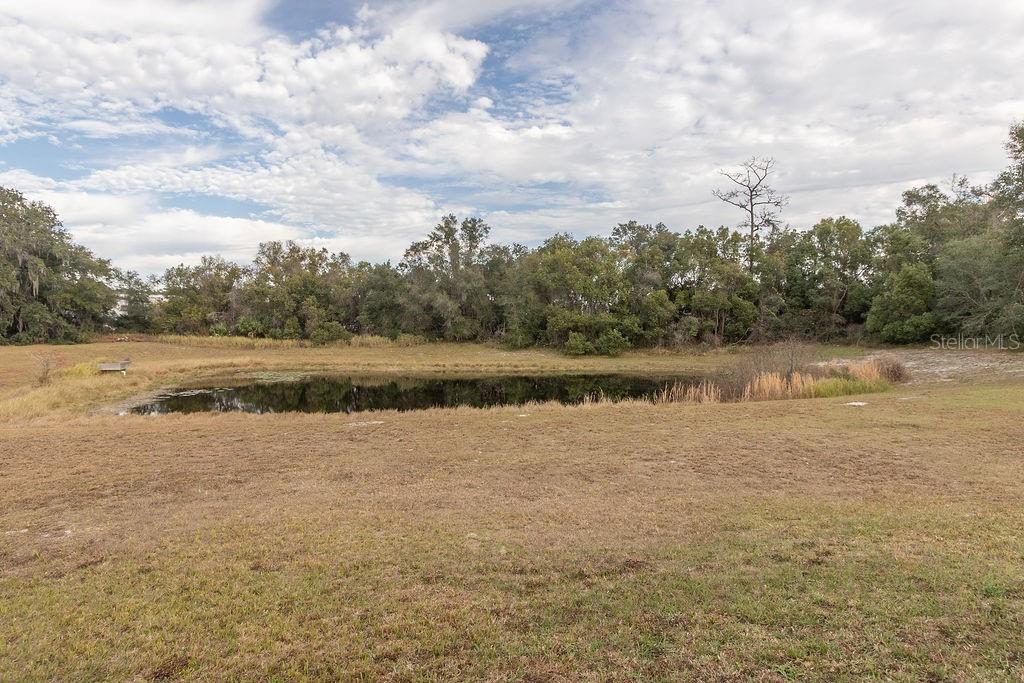 Image 18 of 19 For 174 Crystal Oak Drive