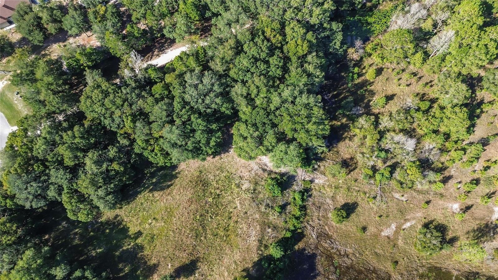 Image 13 of 19 For Lot 6 Tree Frog Lane