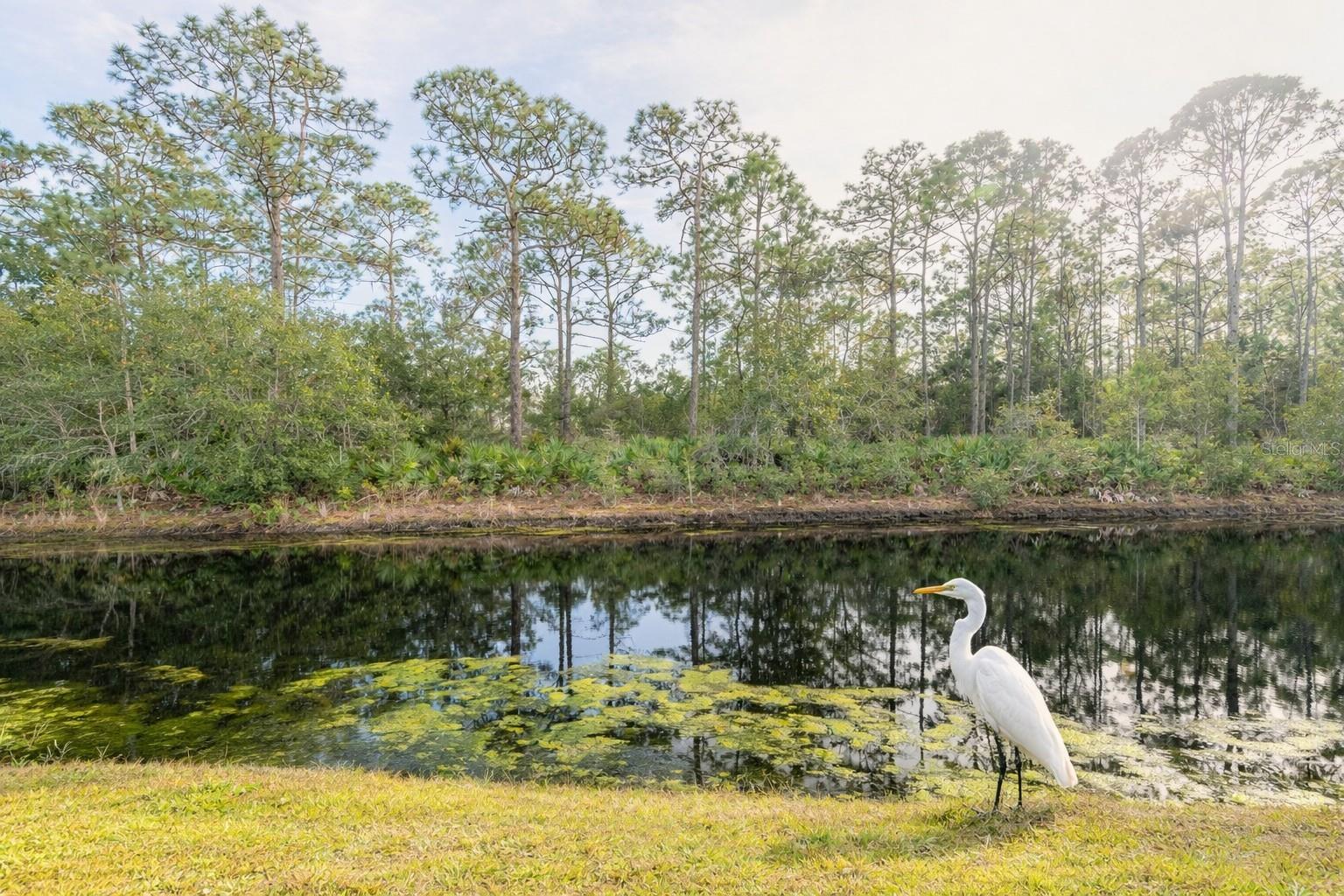 Image 21 of 36 For 251 Orange Grove Drive 8