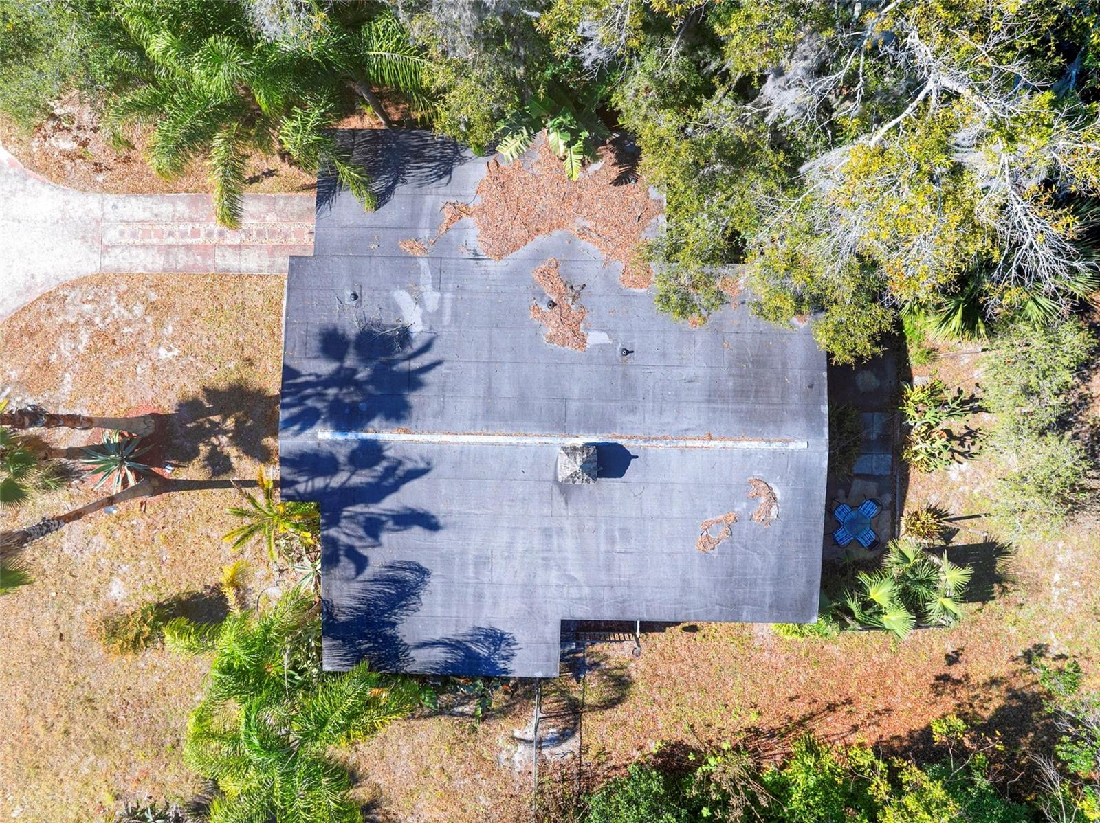 Image 14 of 40 For 205 Kentucky Avenue