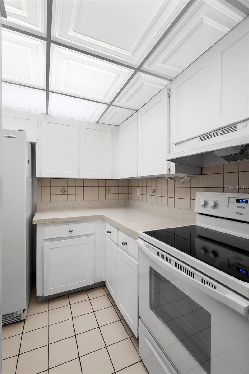 Image 28 of 44 For 120 Hibiscus Woods Court 15c