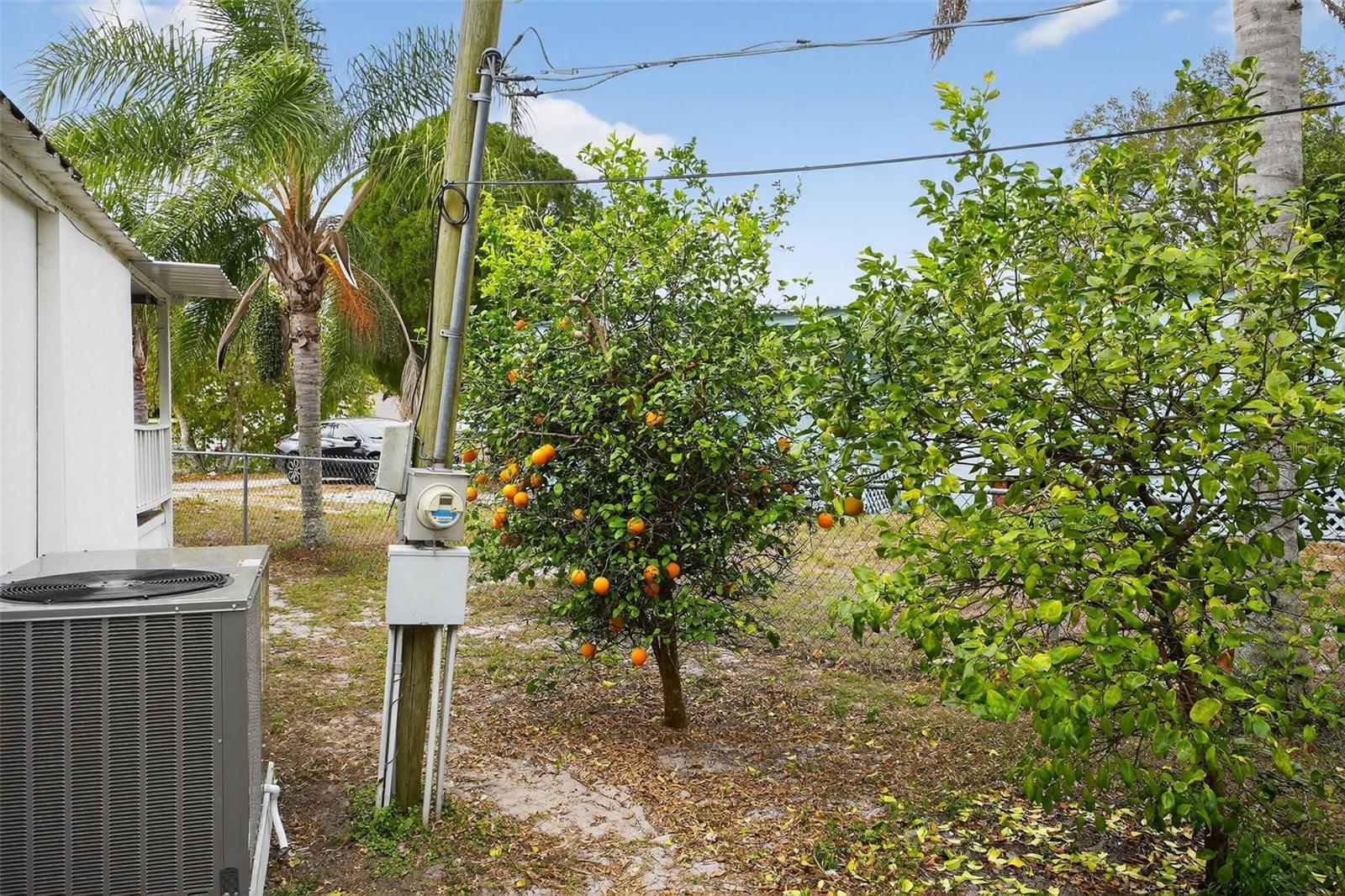 Image 33 of 40 For 2001 Linda Avenue