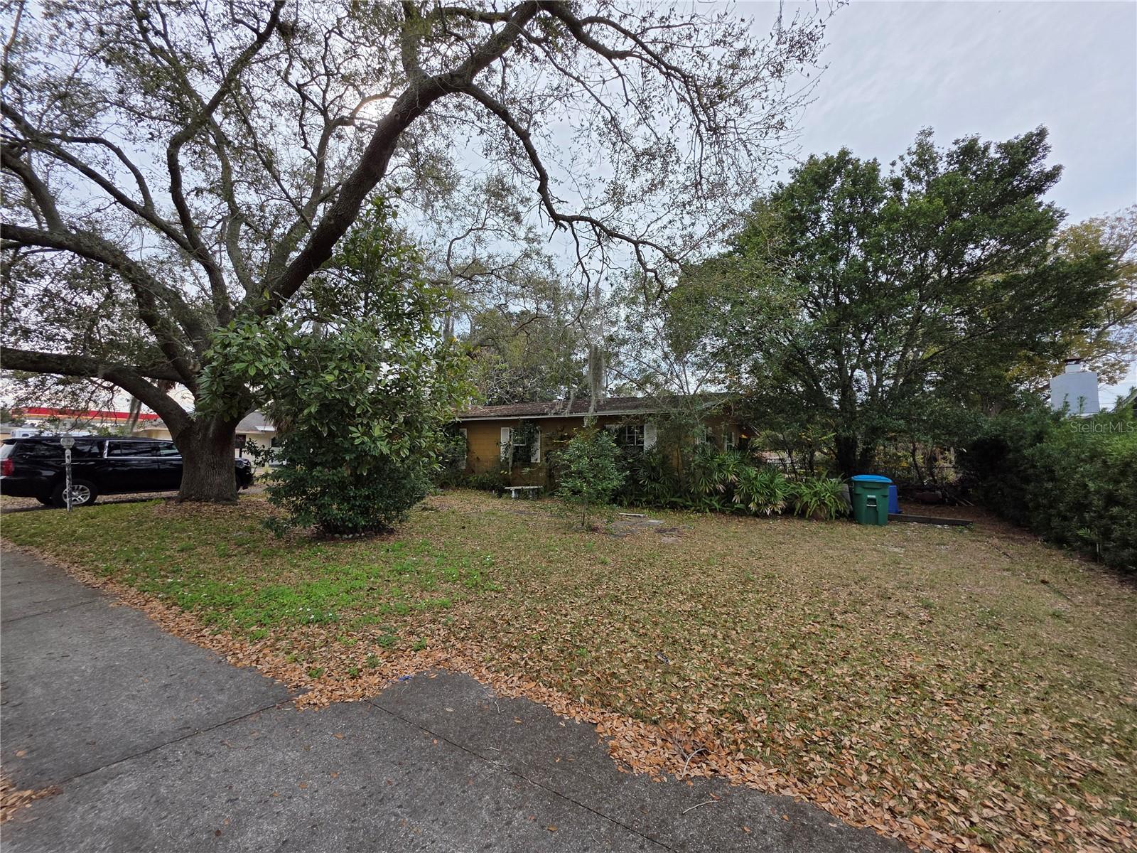 Image 5 of 24 For 10 Devon Avenue