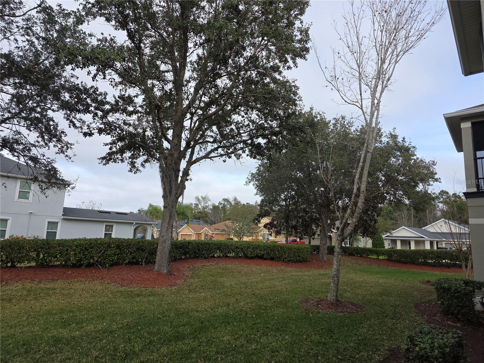 Image 36 of 42 For 104 Kelly Thomas Way