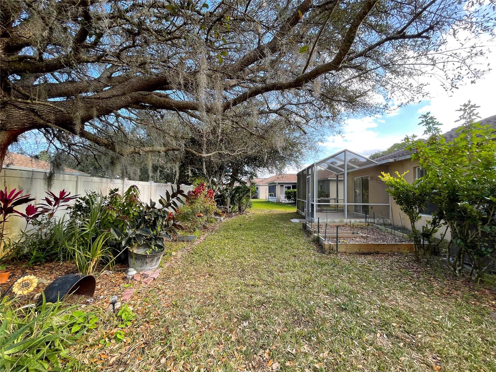 Image 34 of 35 For 342 Dahoon Holly Drive