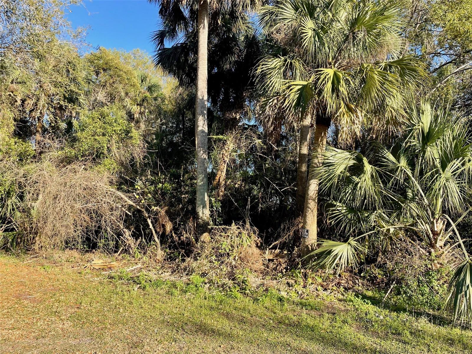 Image 2 of 6 For Osteen Maytown Road