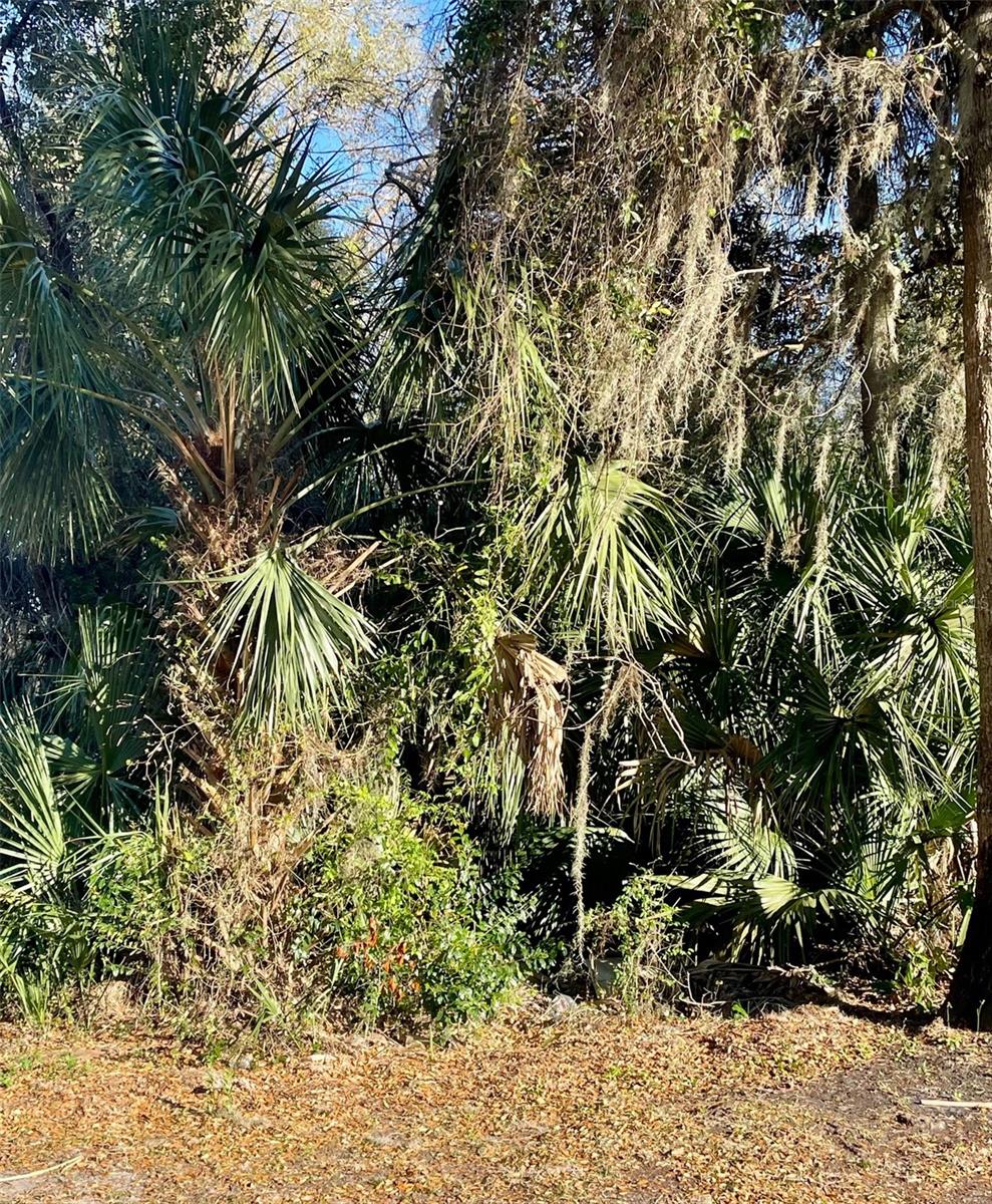 Image 5 of 6 For Osteen Maytown Road