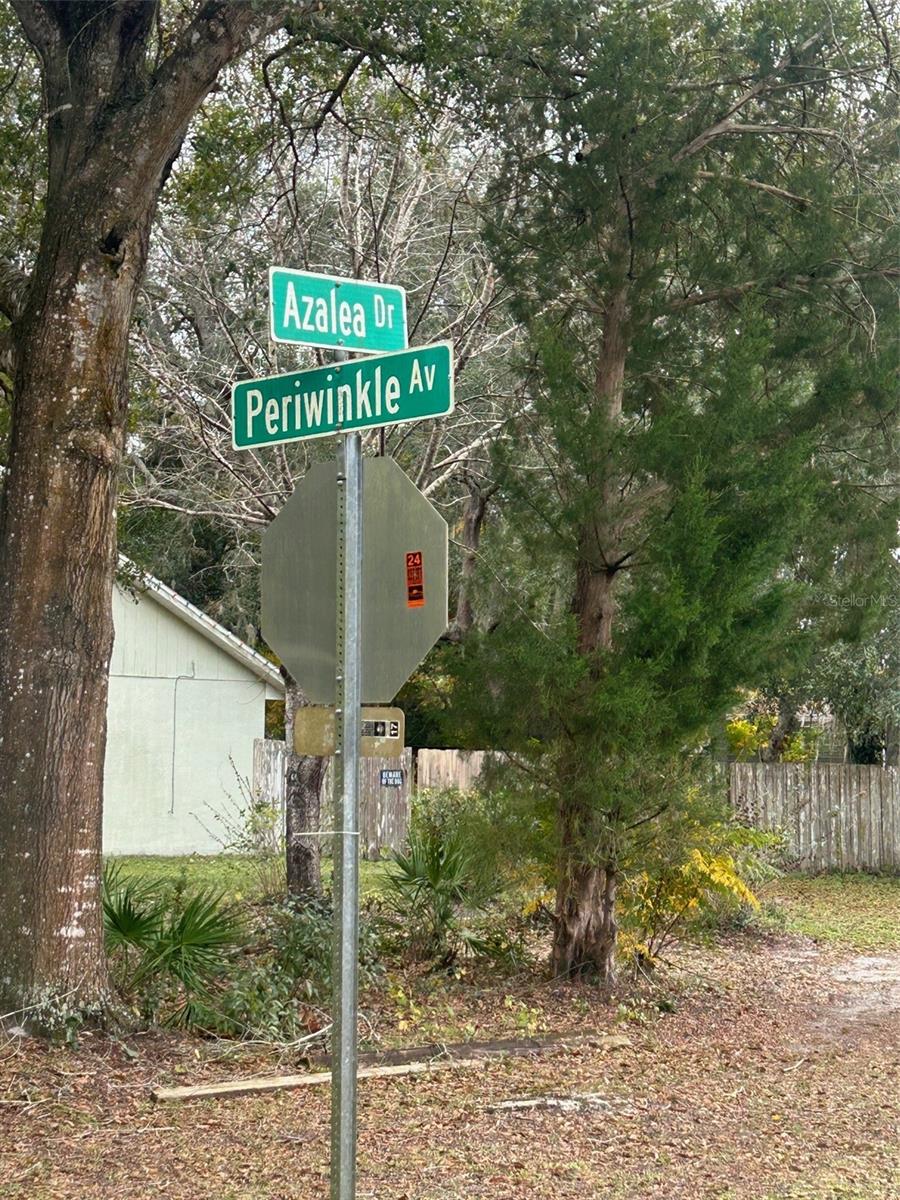 Image 4 of 5 For Periwinkle Drive