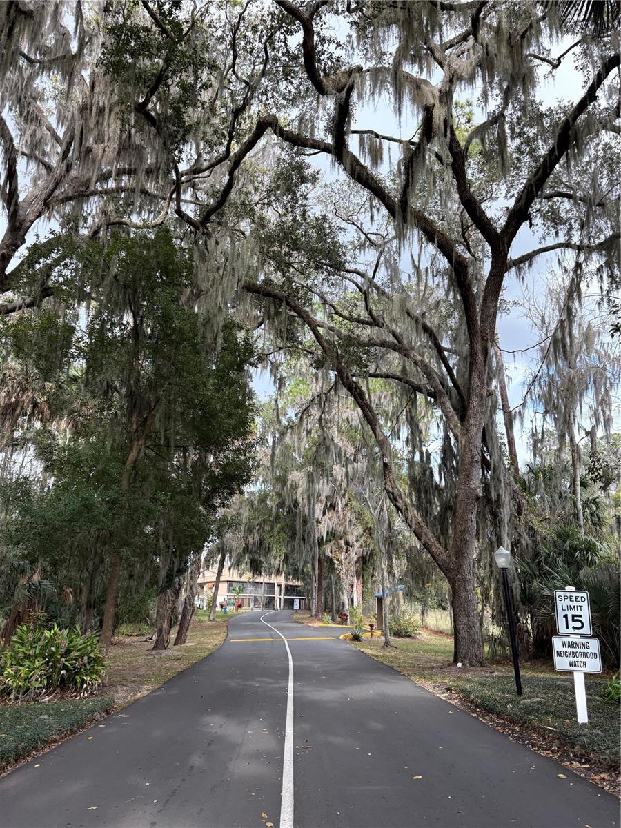 Image 23 of 36 For 140 Orchid Woods Court 1a