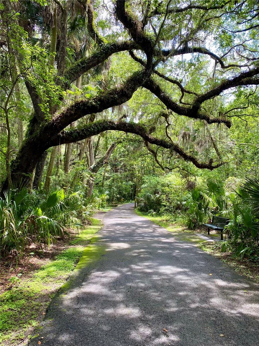 Image 24 of 36 For 140 Orchid Woods Court 1a