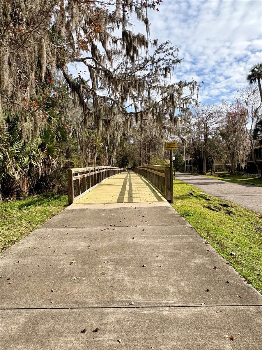 Image 31 of 36 For 140 Orchid Woods Court 1a