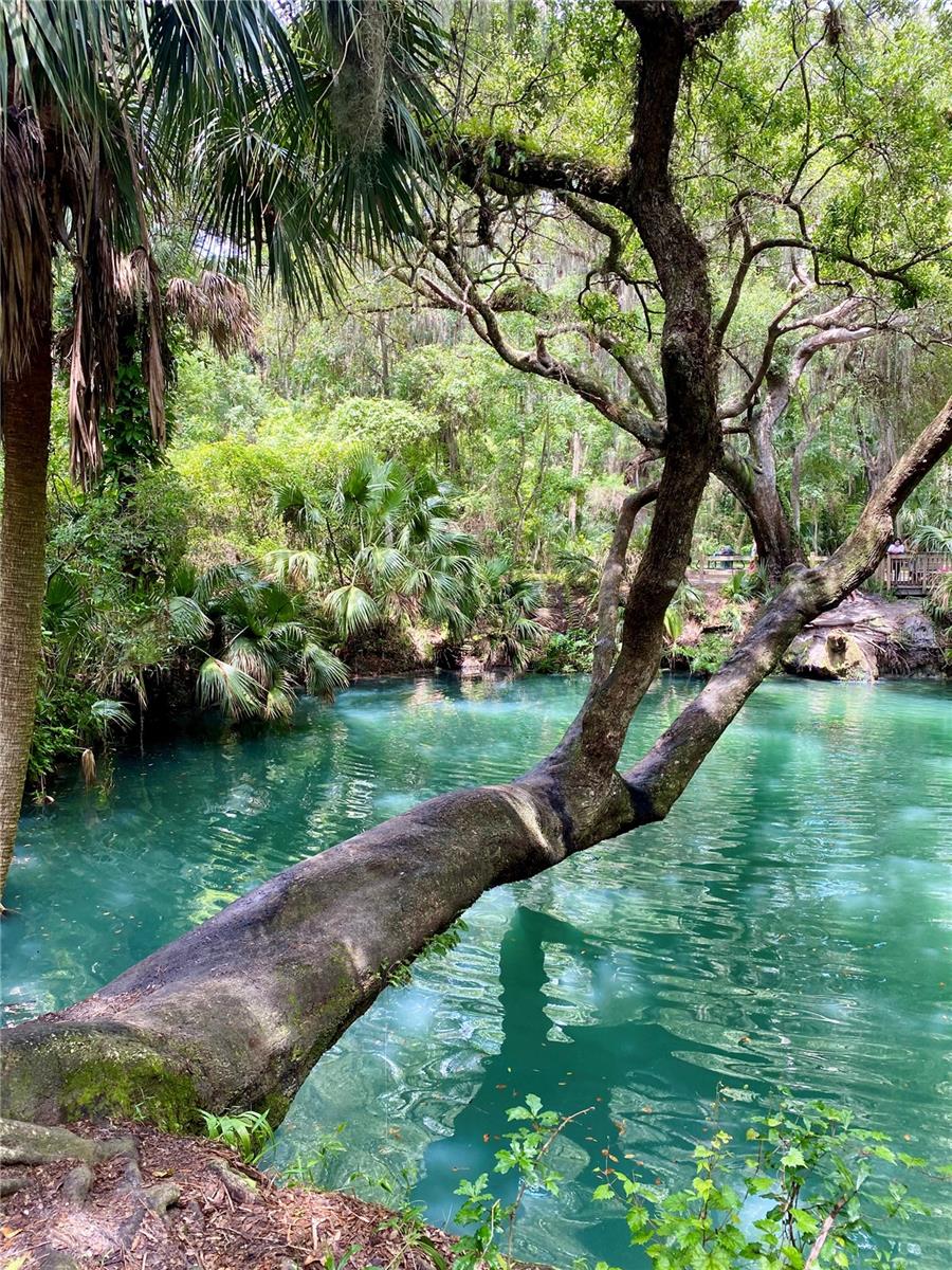 Image 34 of 36 For 140 Orchid Woods Court 1a