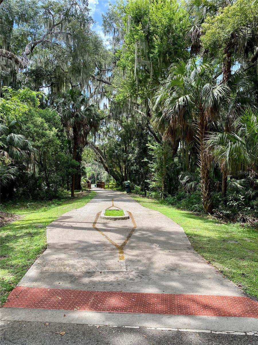 Image 35 of 36 For 140 Orchid Woods Court 1a