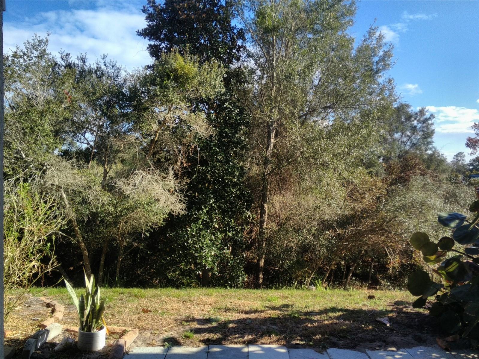 Image 26 of 28 For 3069 Twinleaf Avenue