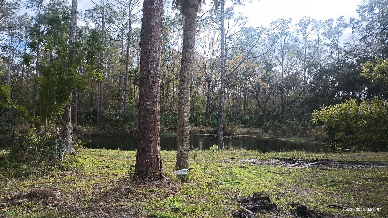 Image 14 of 15 For 3616 Watermelon Lane 2