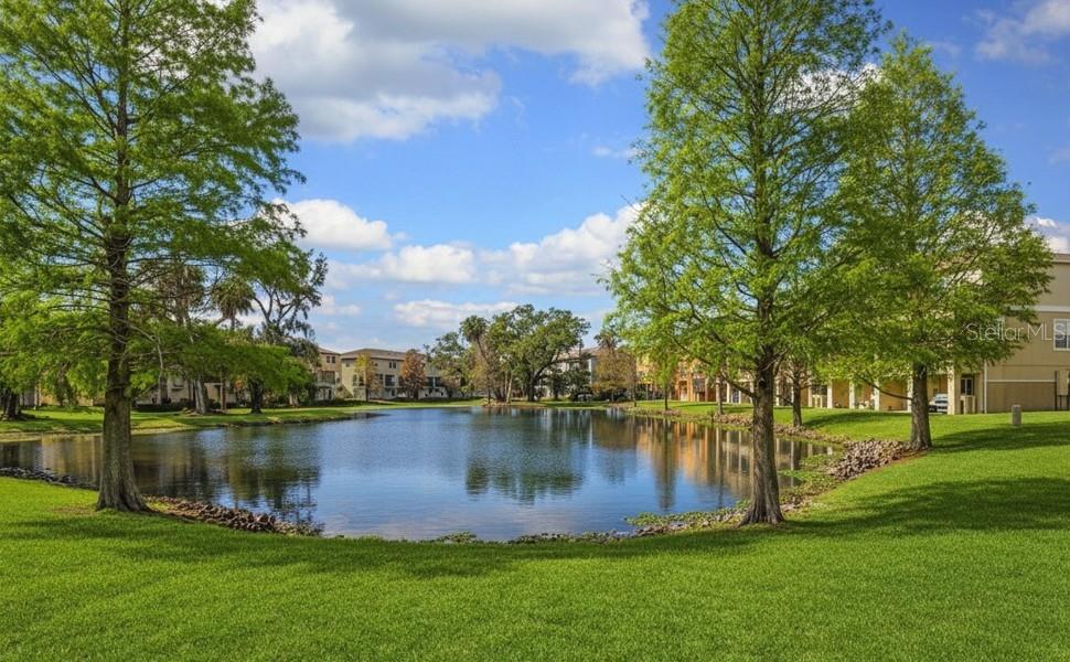 Image 19 of 20 For 4407 Tuscan Loon Drive