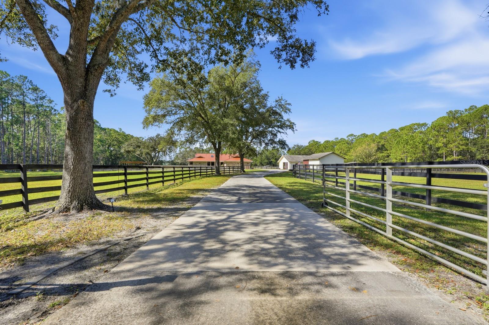 Image 4 of 75 For 460 Spring Forest Drive