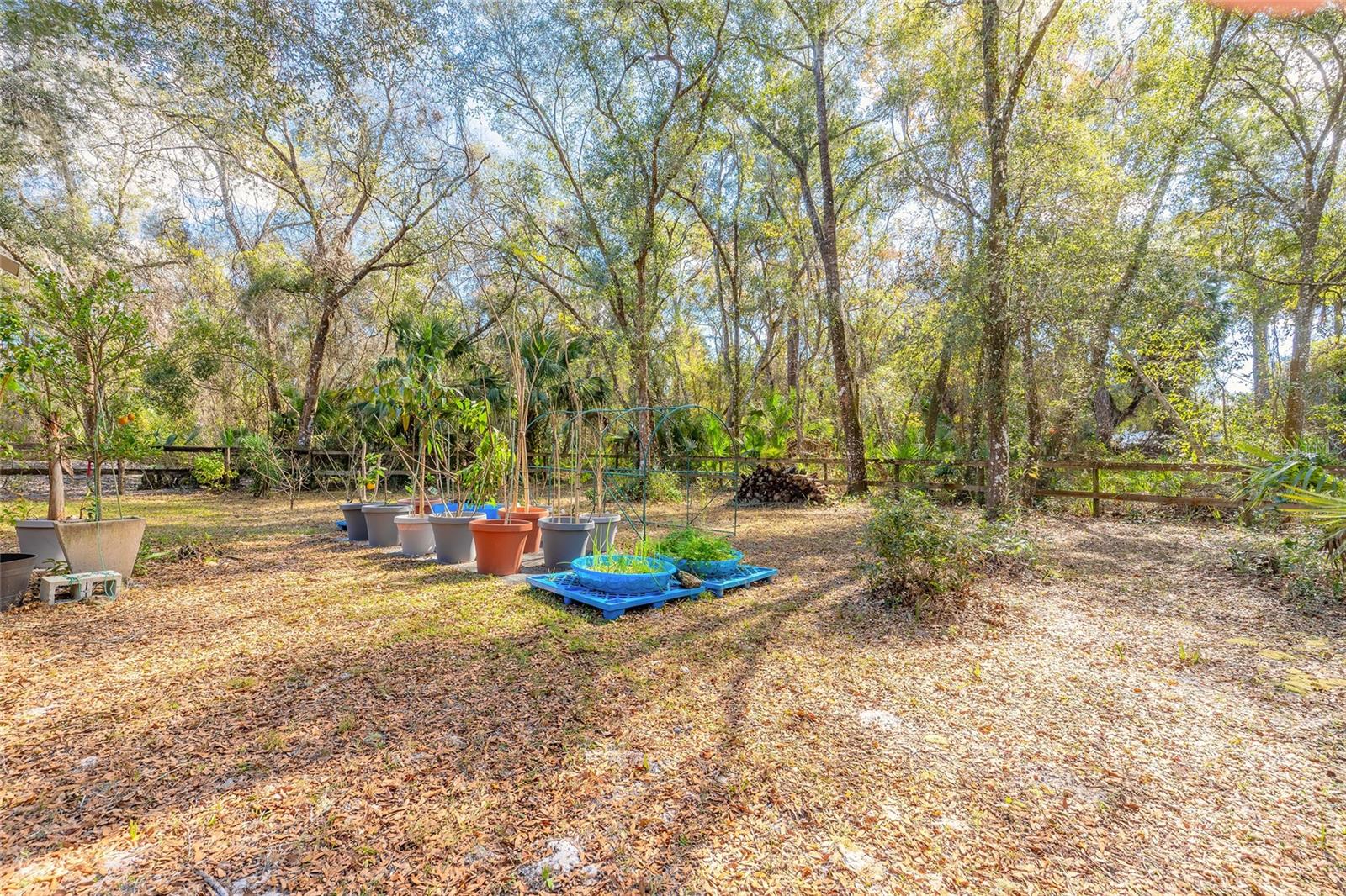 Image 34 of 49 For 1501 Dillard Road